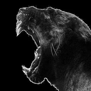 Panther discount code